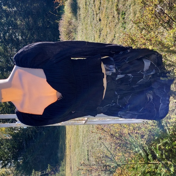 "The Raven Nevermore" ADAM Goth Skirt - Picture 5 of 6